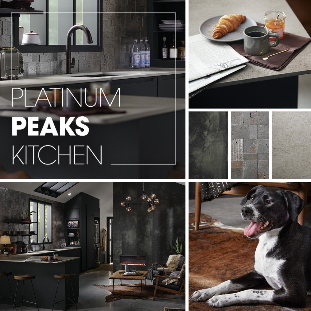 Platinum Peaks Kitchen | Kohler Ideas