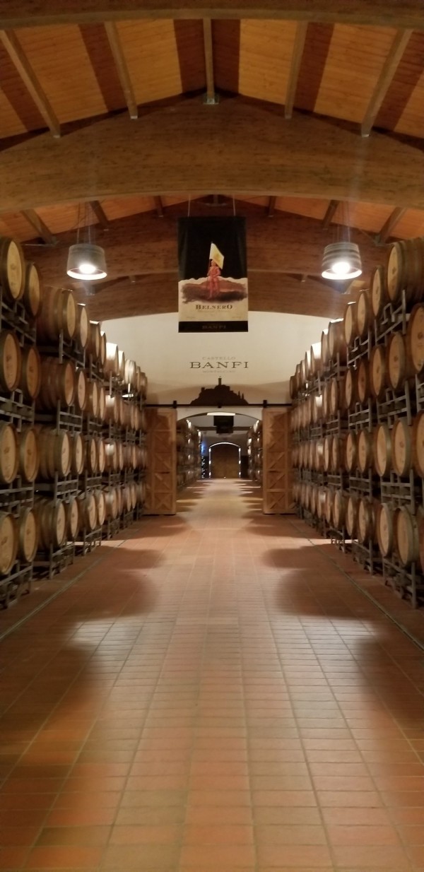Banfi cellar, photo by Kelly Magyarics