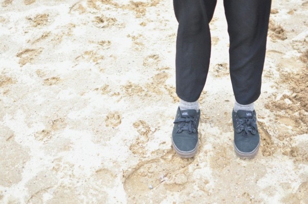 Vans shoes, United by Blue bison socks