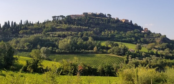 Montepulciano, photo by Kelly Magyarics