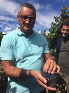 Winemaker Lucio Matricardi displays a bunch of nearly ripened pinot noir grapes with vineyard manager Daniele.