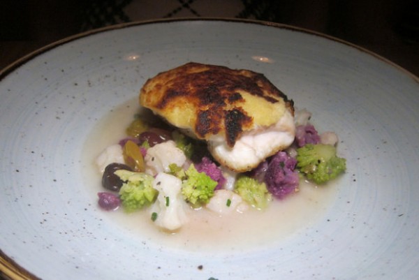 halibut