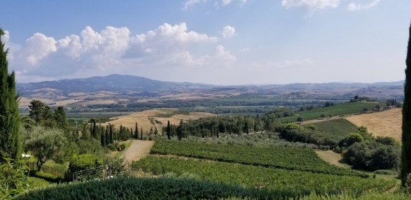 Banfi vineyards, photo by Kelly Magyarics