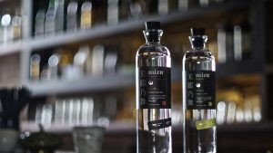 Via-Mizushochu.com_-300x169.jpg