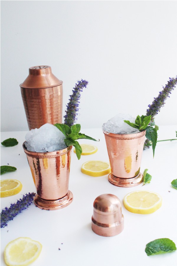 Hyssop Mint Julep - Whiskey Muse