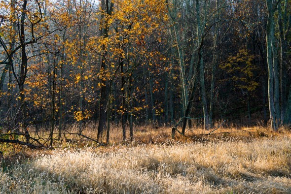 Bucks County, Pennsylvania