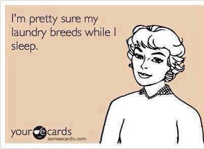 img_1564.jpg?resize=403%2C294