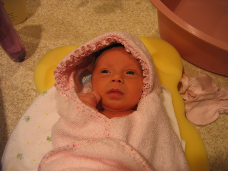 9f3d374d891fe14fd3516f1b63d2cefbea02e978