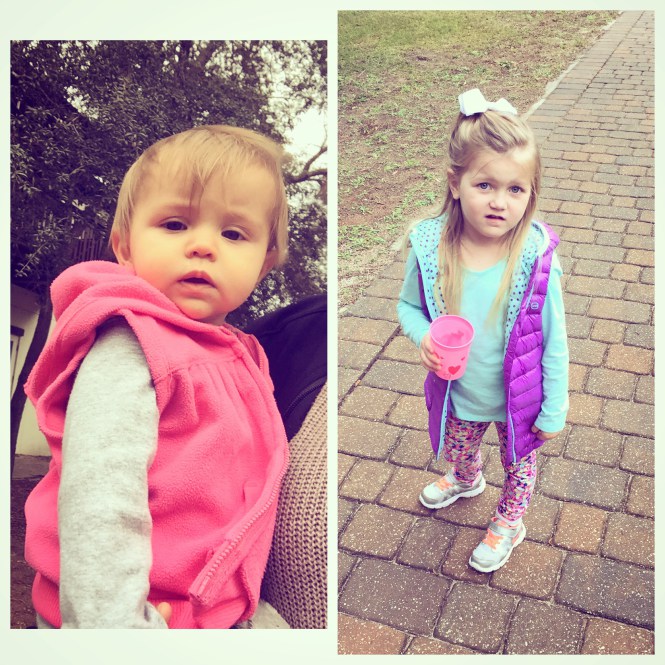 img_8427.jpg?resize=665%2C665